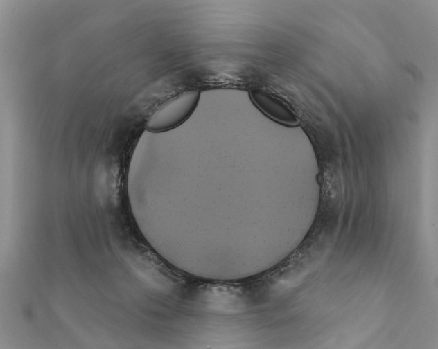 X0000111380223200908211347