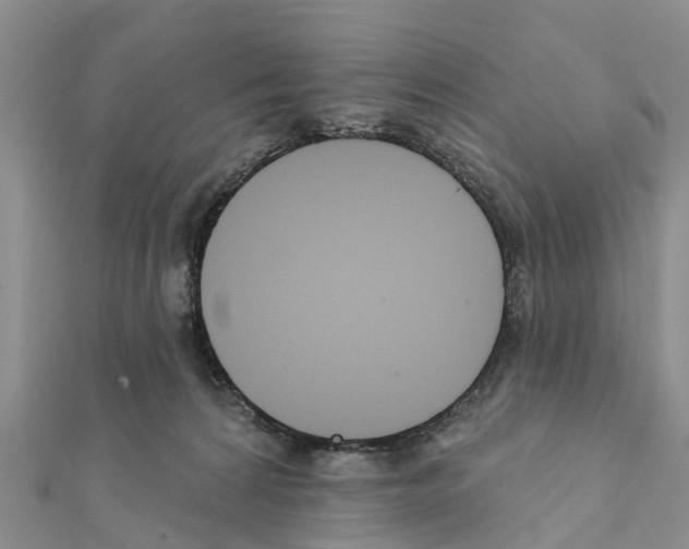 X0000111380224200908211347