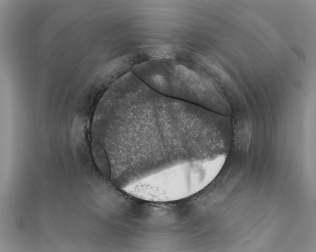 X0000111380229200908211347