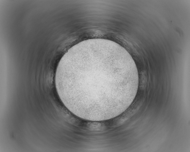 X0000111380230200908211347