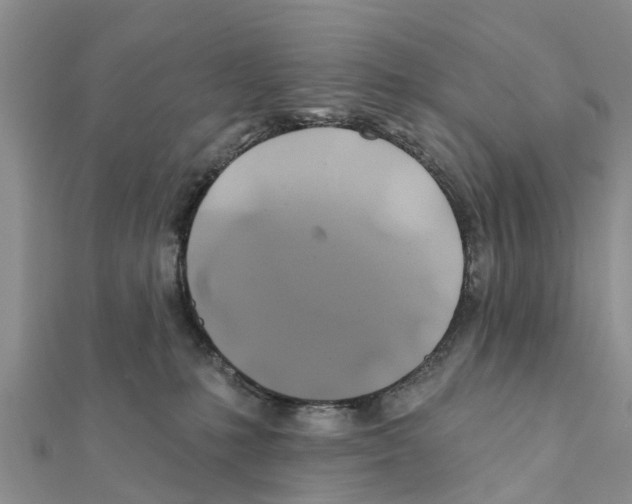 X0000111380231200908211347