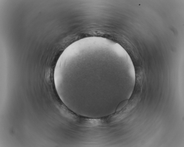 X0000111380233200908211347