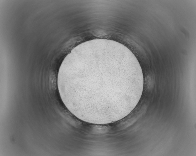 X0000111380234200908211347