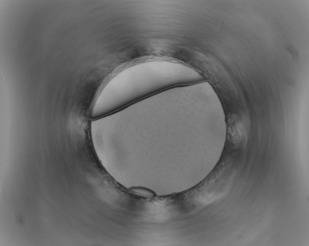 X0000111380235200908211347