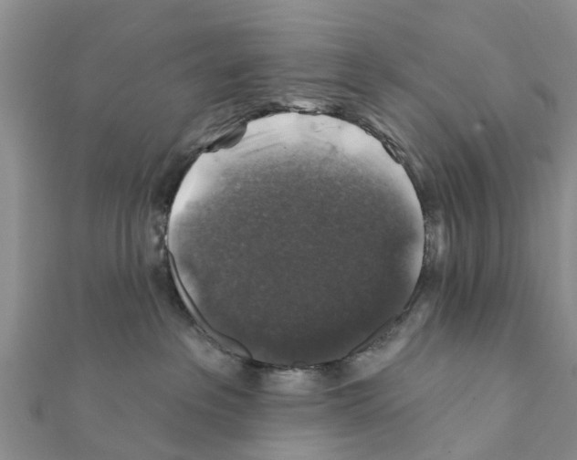 X0000111380237200908211347