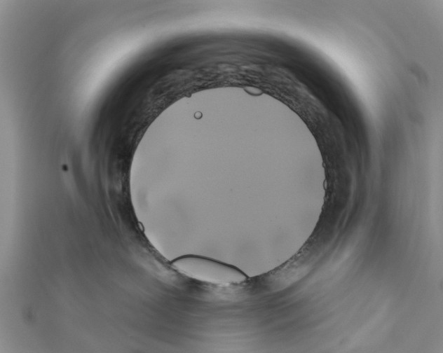 X0000111380239200908211347