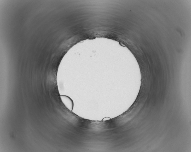 X0000111380240200908211347