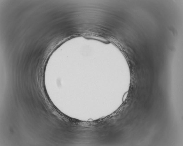 X0000111380241200908211346