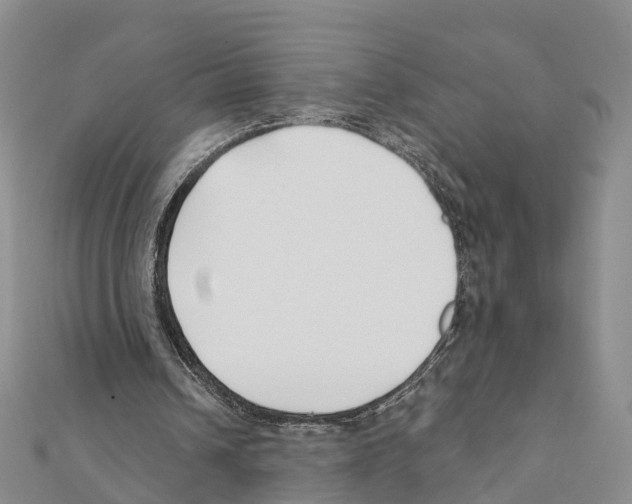 X0000111380242200908211346