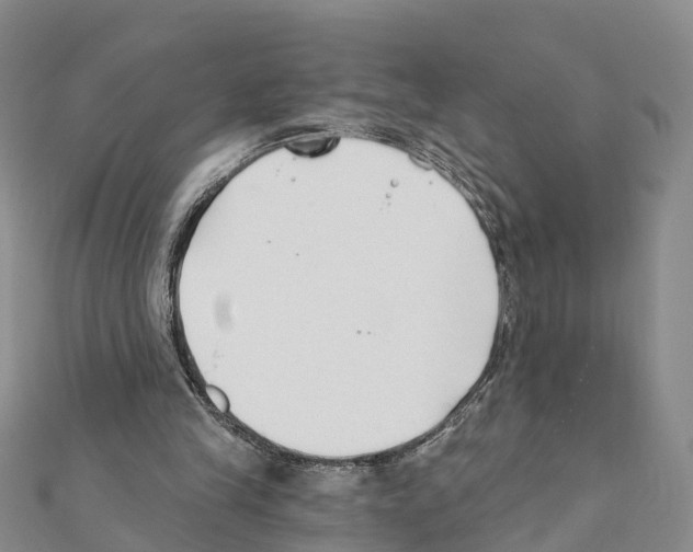 X0000111380245200908211346