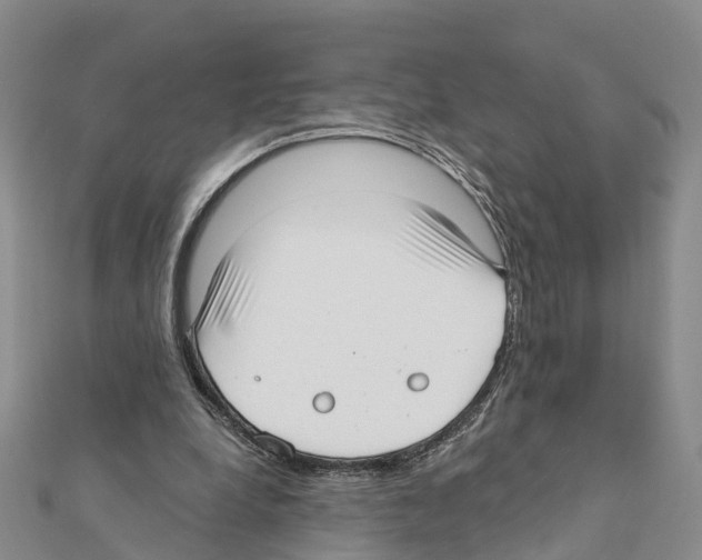 X0000111380248200908211346