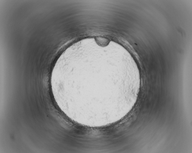 X0000111380249200908211346