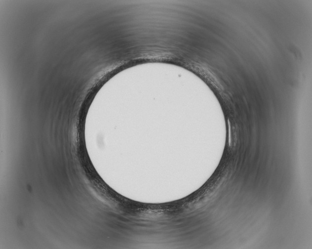 X0000111380252200908211346