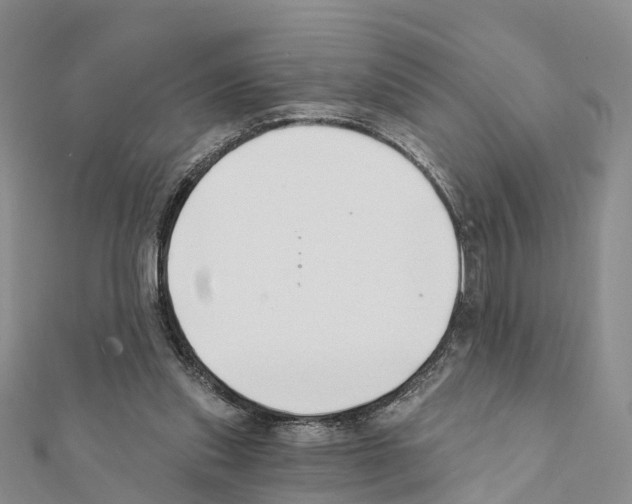 X0000111380253200908211346