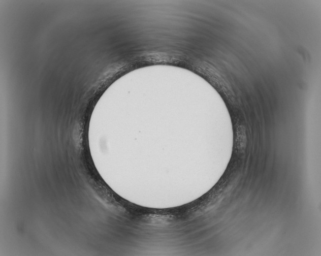 X0000111380255200908211346