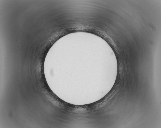 X0000111380257200908211346