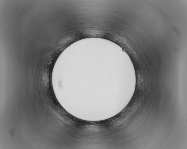 X0000111380259200908211346