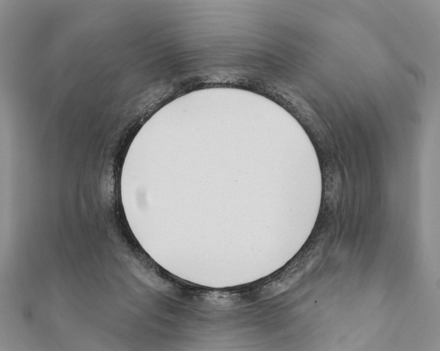 X0000111380261200908211346