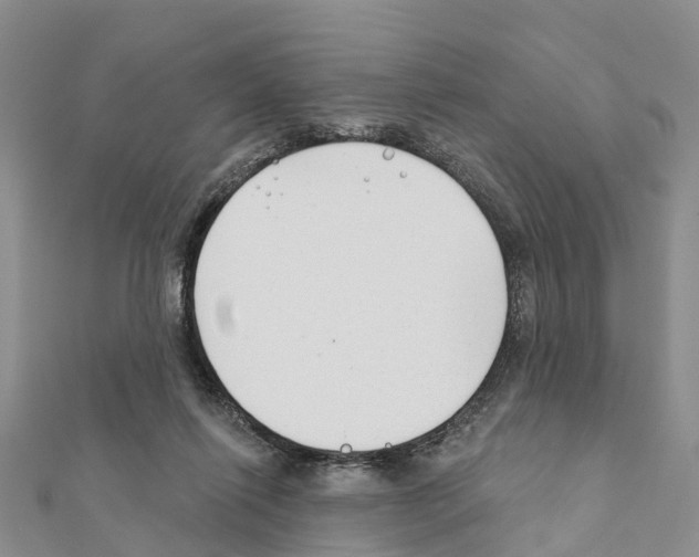 X0000111380262200908211346