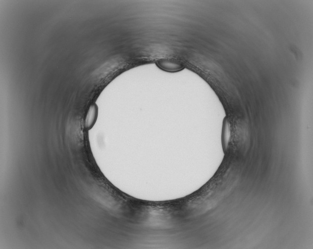 X0000111380264200908211346