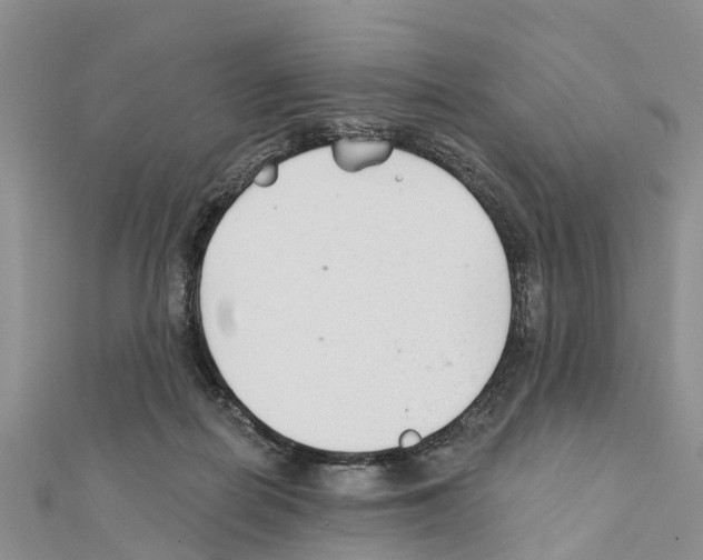 X0000111380266200908211346