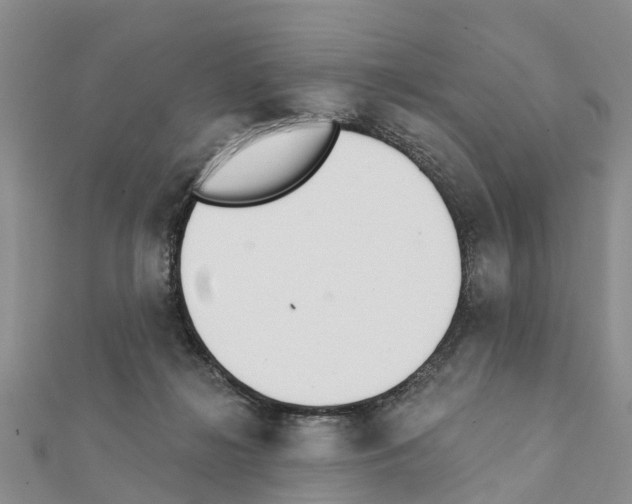 X0000111380268200908211346