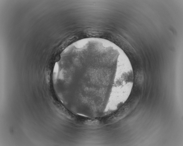 X0000111380271200908211346