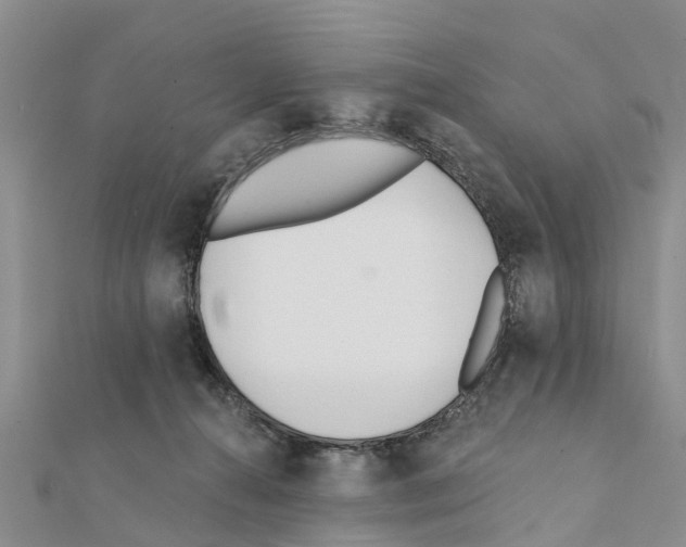 X0000111380272200908211346