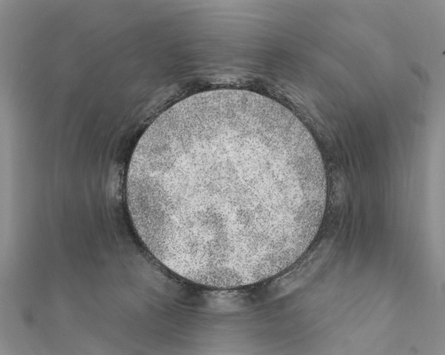 X0000111380273200908211346