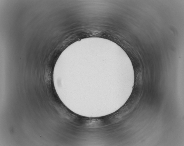 X0000111380274200908211346