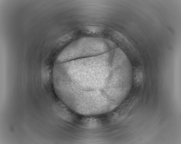 X0000111380276200908211346