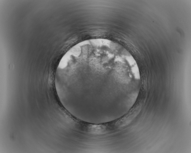 X0000111380277200908211346