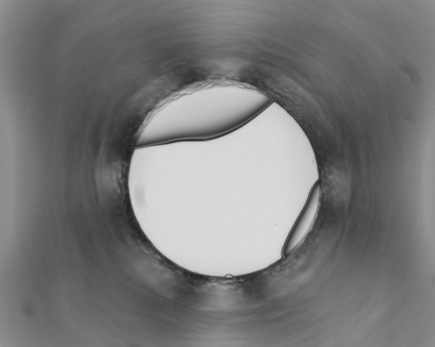 X0000111380280200908211346