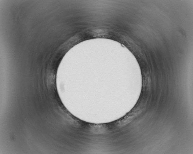 X0000111380281200908211346