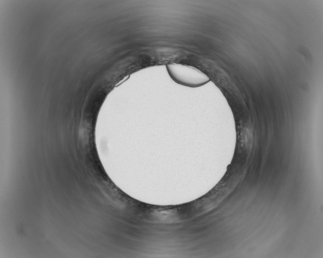 X0000111380283200908211346