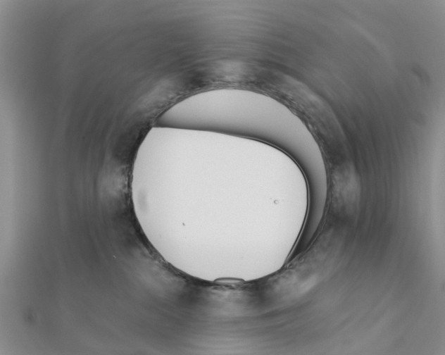 X0000111380284200908211347