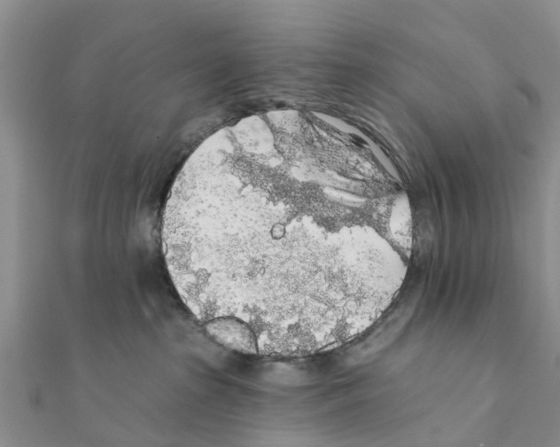 X0000111380285200908211347