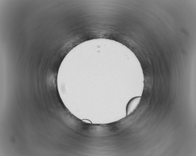 X0000111380286200908211347