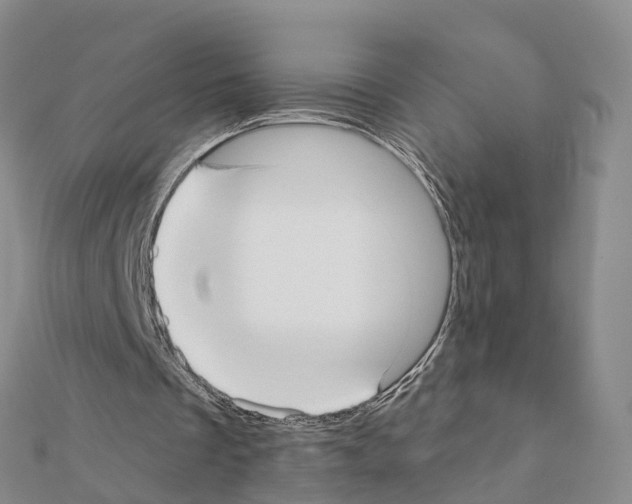 X0000111380289200908211346