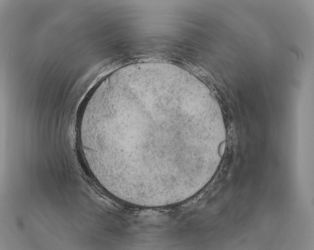 X0000111380290200908211346