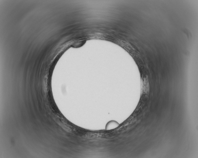 X0000111380291200908211346