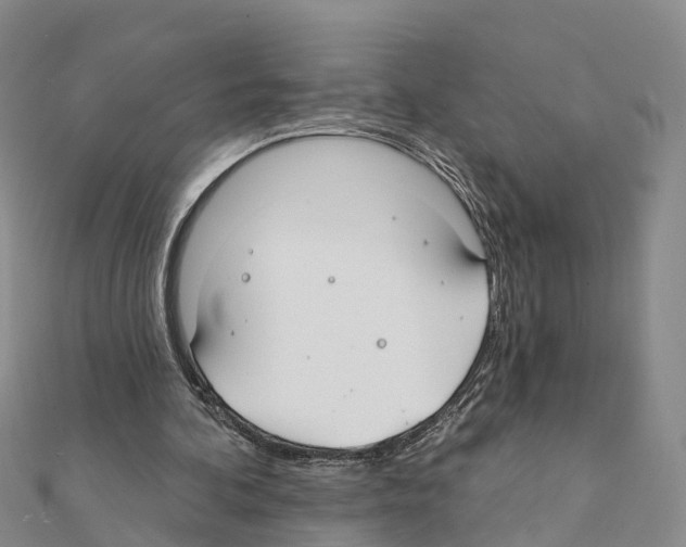 X0000111380292200908211346