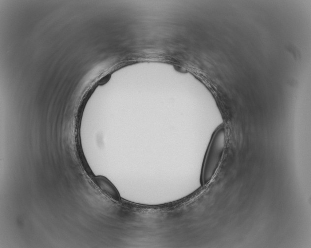 X0000111380293200908211346