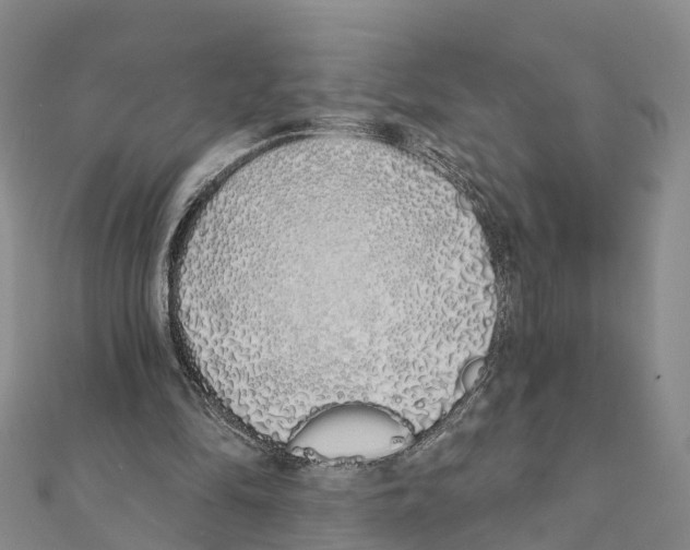 X0000111380294200908211346