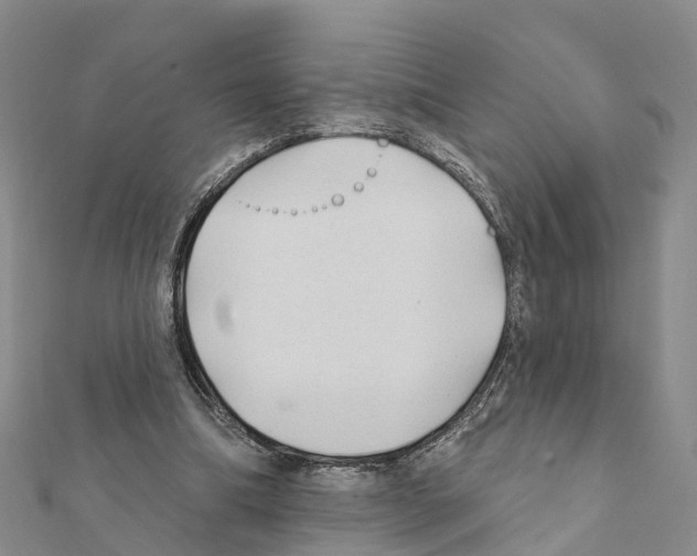 X0000111380298200908211346