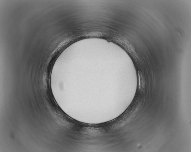 X0000111380300200908211346