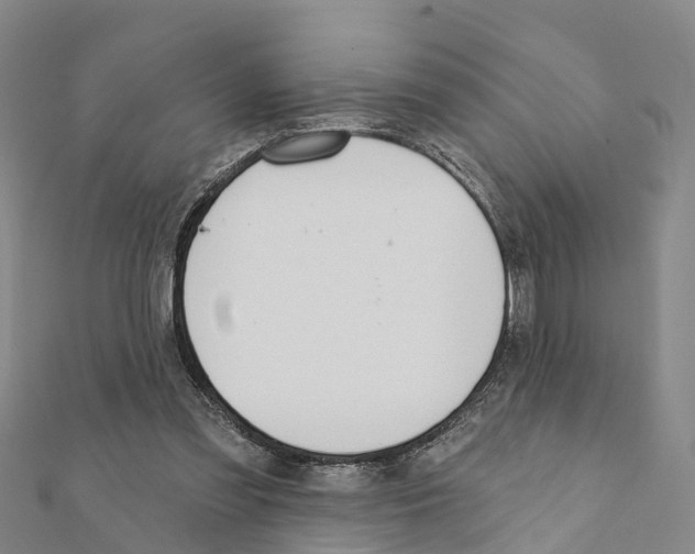 X0000111380301200908211346