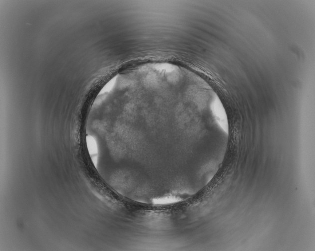 X0000111380303200908211346