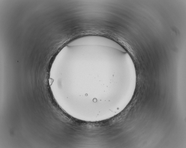 X0000111380305200908211346