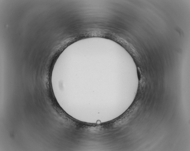 X0000111380306200908211346